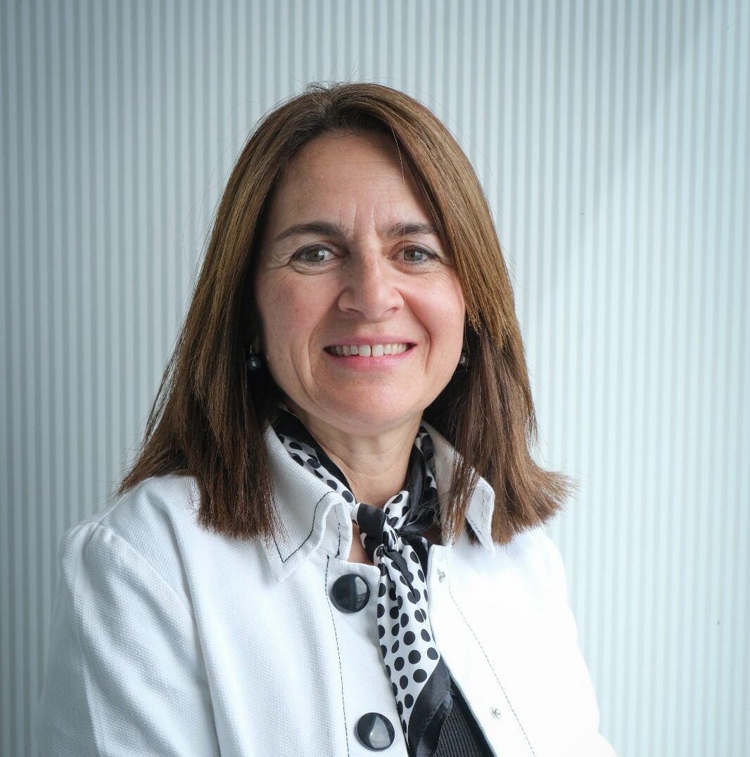 Dina Matos Ferreira Autor Do Ponto SJ