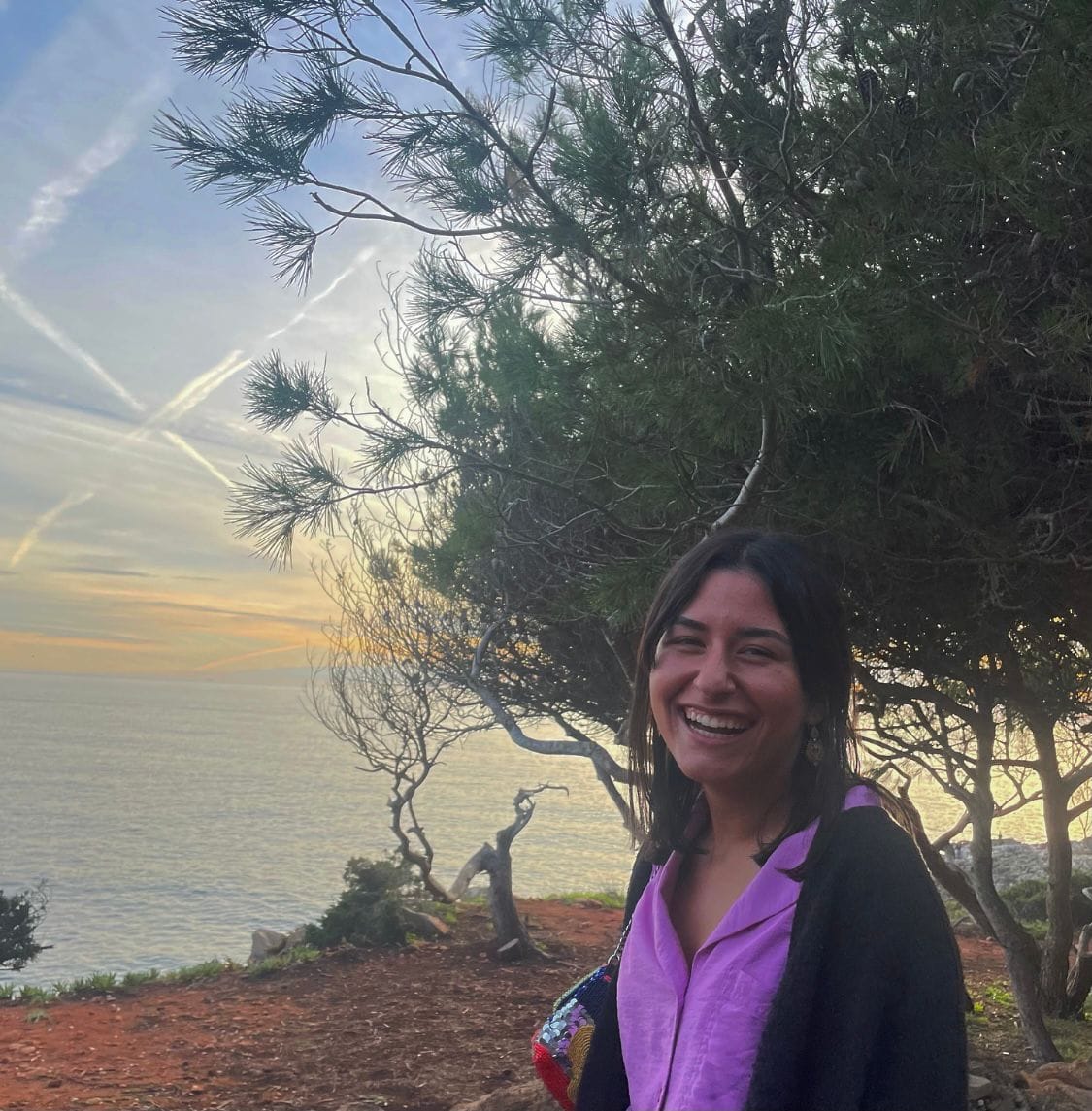 Mariana Cardim Autor Do Ponto SJ