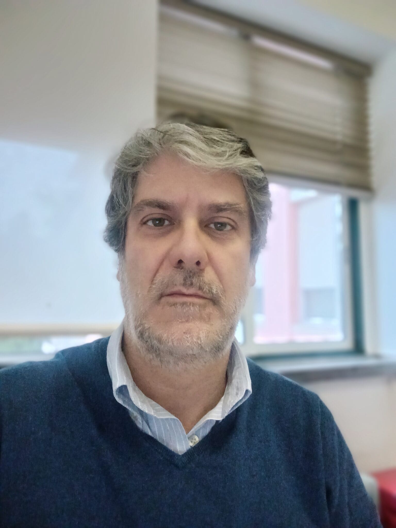 Pedro Ferreira Autor Do Ponto SJ