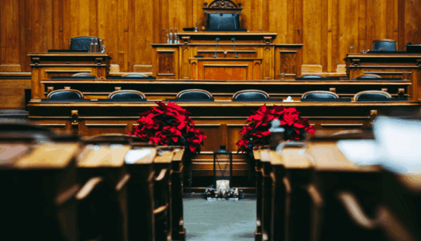 Pormenor cadeiras do parlamento