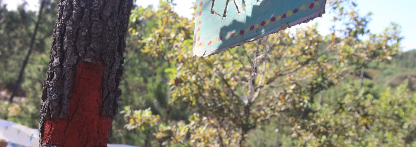 capela de campos de férias, com um letreiro artesanal a indicar e uma cruz a vermelho pintada na árvore