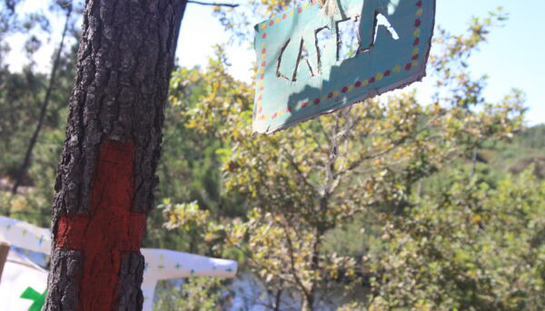 capela de campos de férias, com um letreiro artesanal a indicar e uma cruz a vermelho pintada na árvore